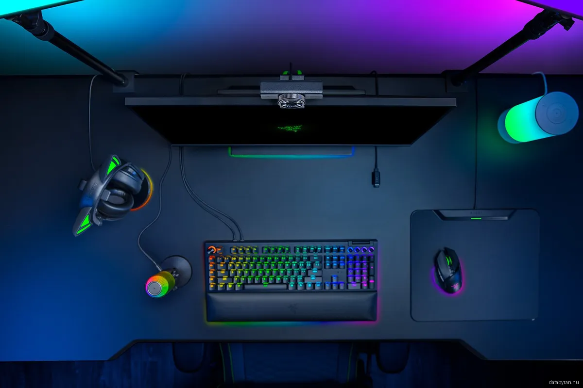 Razer Kiyo V2 X - Black